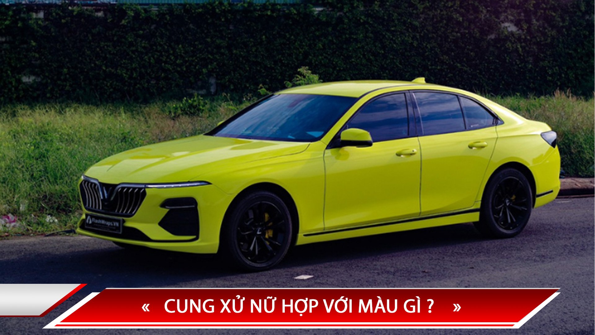 CUNG XỬ NỮ HỢP VỚI MÀU GÌ?